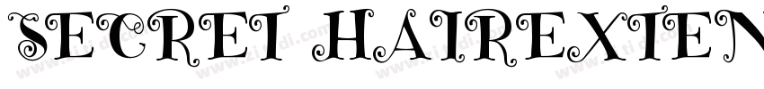 SECRET HAIREXTENSIO字体转换